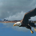 Swooping in
