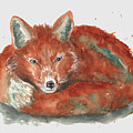 Little Fox
